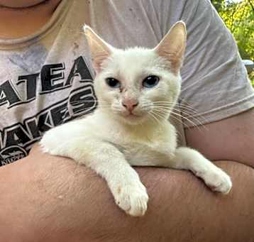 Photo of Snowy