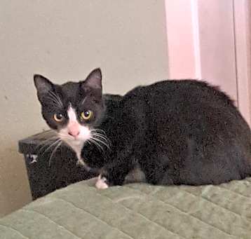Photo of Buster