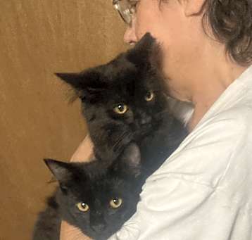 Photo of Blinky bonded with Inky
