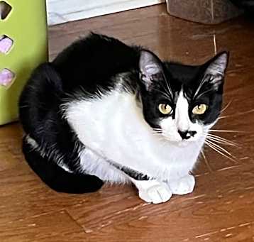 Photo of Lucky