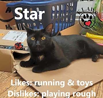Photo of Star