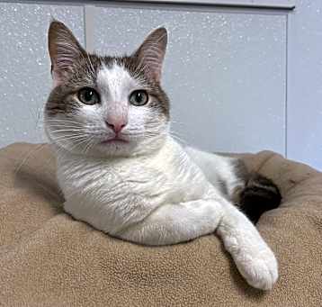 Photo of Elmer