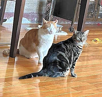 Photo of Busta + life partner Sunshine