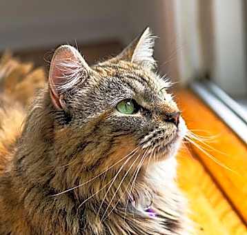 Photo of Nadja! <3