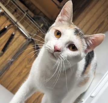 Photo of Layna