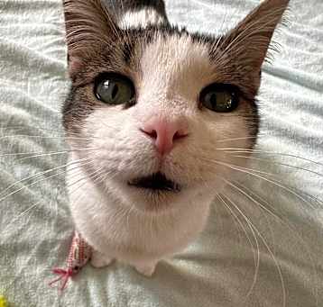 Photo of Lil Guy