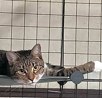 Photo of Princess