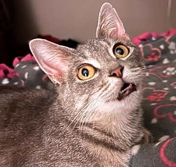 Photo of Dorris
