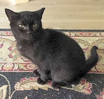 Photo of Vagabond