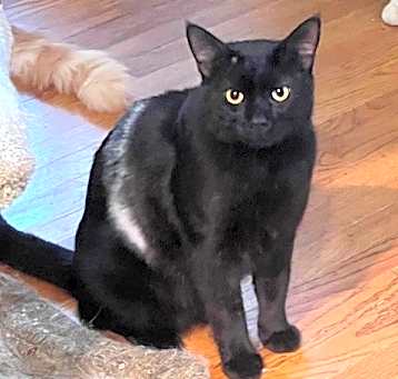 Photo of HAWKEYE