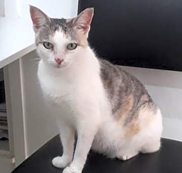 Photo of Matilde