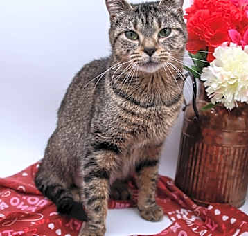 Photo of Olivia XVII