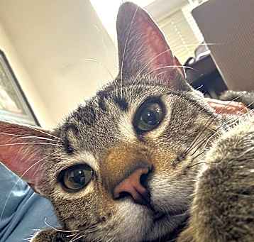 Photo of NEMO