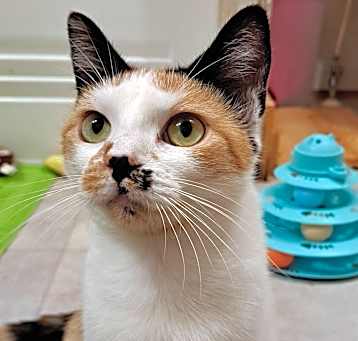 Photo of Jewel