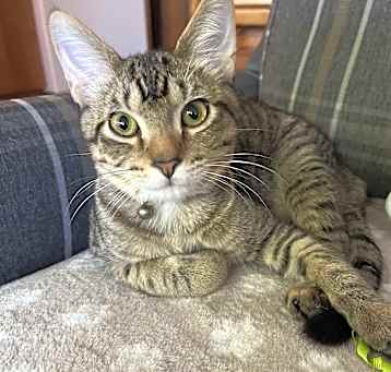Photo of Jasper