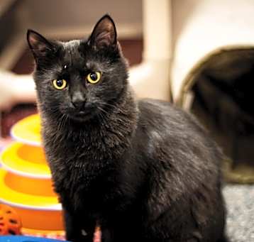 Photo of Mitzy