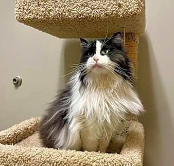 Photo of Athena