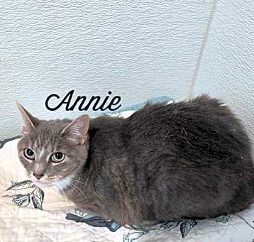 Photo of Annie