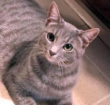 Photo of Lilly