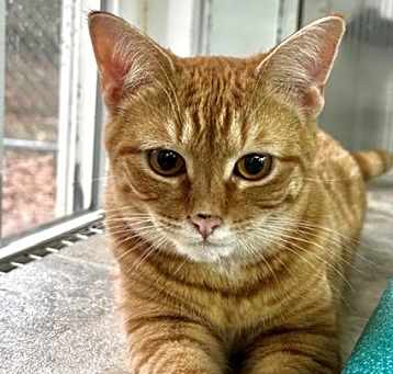 Photo of Chiquita