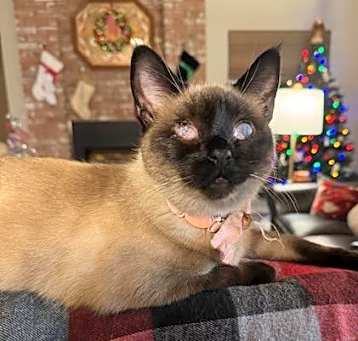 Photo of Mattie