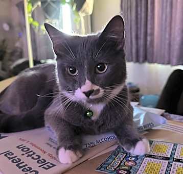 Photo of Chance
