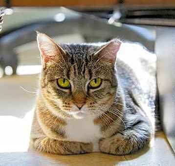 Photo of Jenny 042021