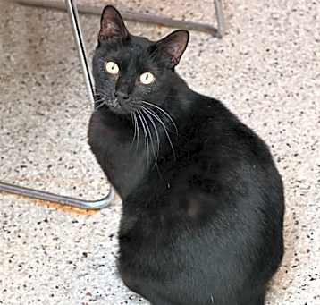 Photo of Arya