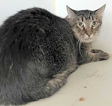 Photo of Max