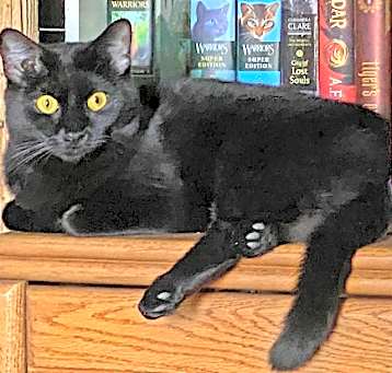 Photo of Ghost