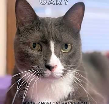 Photo of Gary