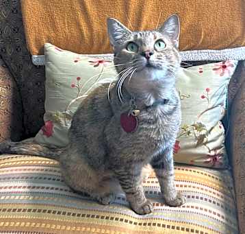 Photo of Sophie