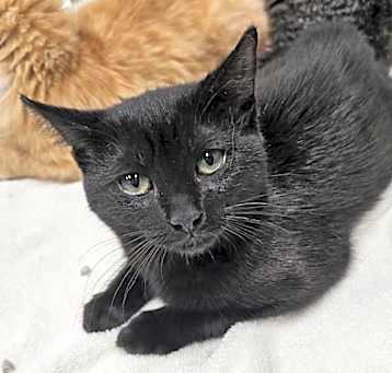 Photo of Olivia