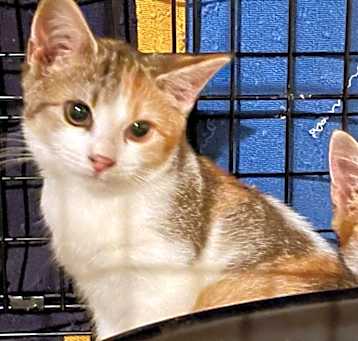 Photo of Sugar & Spice