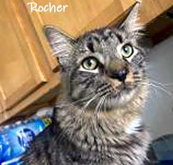 Photo of Rocher