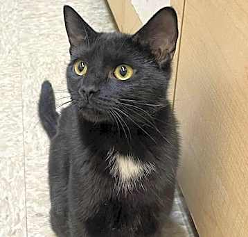 Photo of Ella (FKA: Bohm)