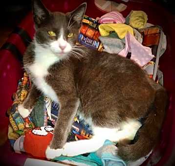 Photo of *Mateo