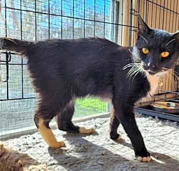 Photo of Tux
