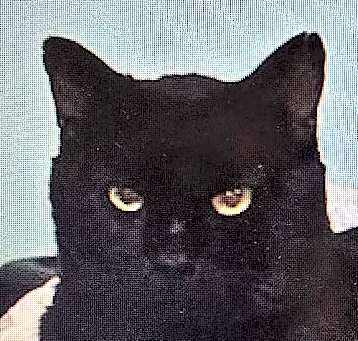 Photo of Wilson