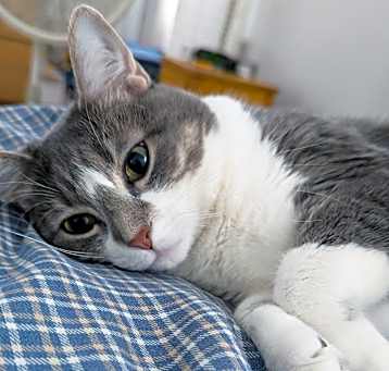 Photo of Eva