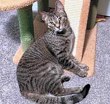 Photo of Ralph