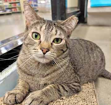 Photo of Wilma