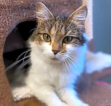 Photo of Mercury
