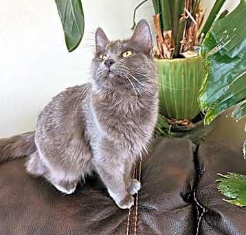 Photo of LW2 - Misty