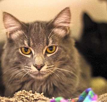 Photo of Jasper