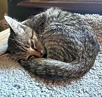 Photo of Meany