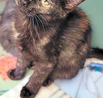 Photo of Thelma Lou