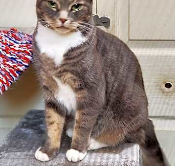 Photo of Molly