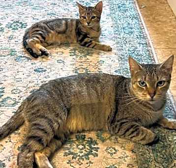 Photo of Tiny & Ncky