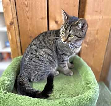Photo of Heidi